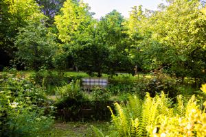 Photo 6- click for photo gallery